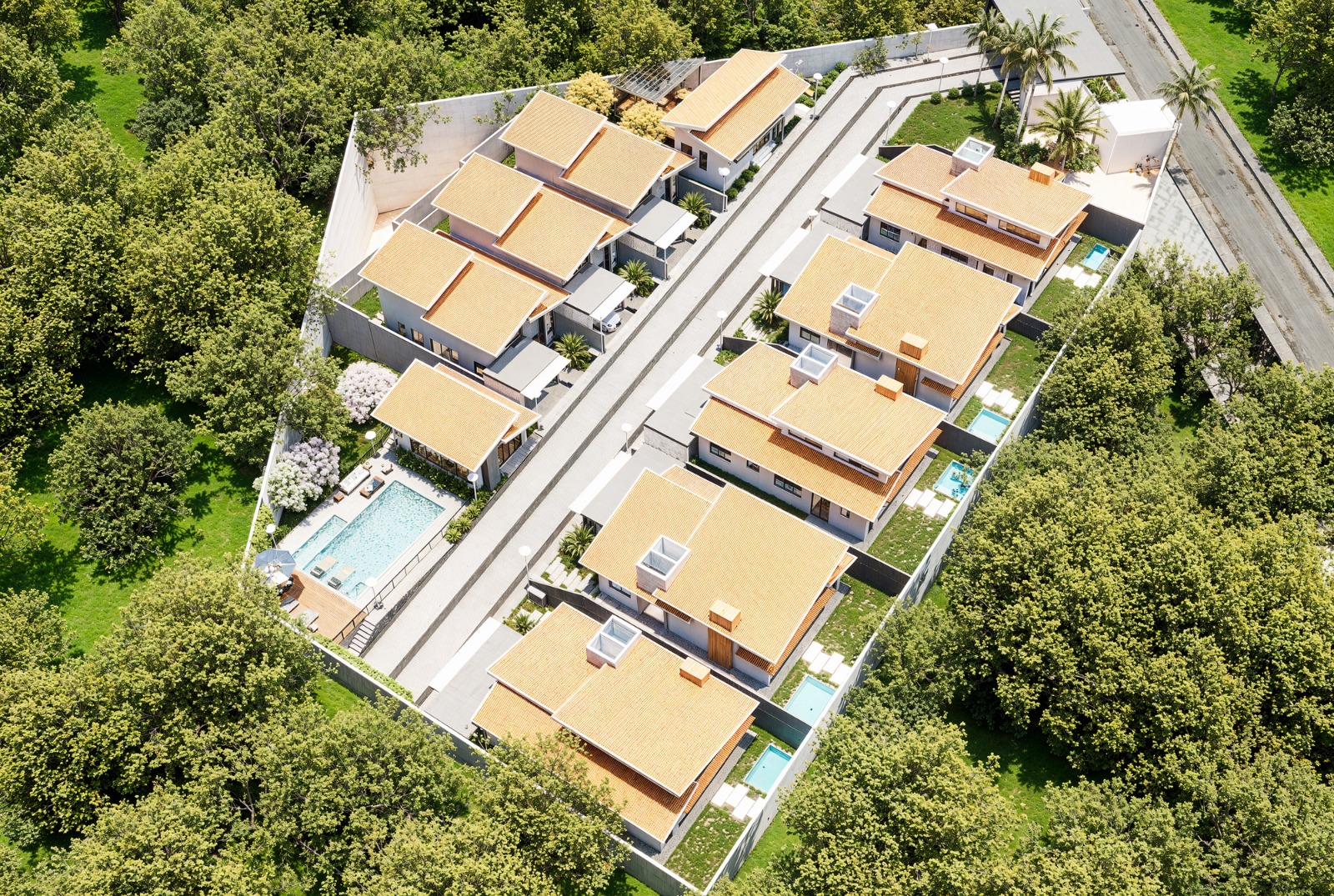 WhatsApp Image 2024-11-28 at 10.44.39.jpeg